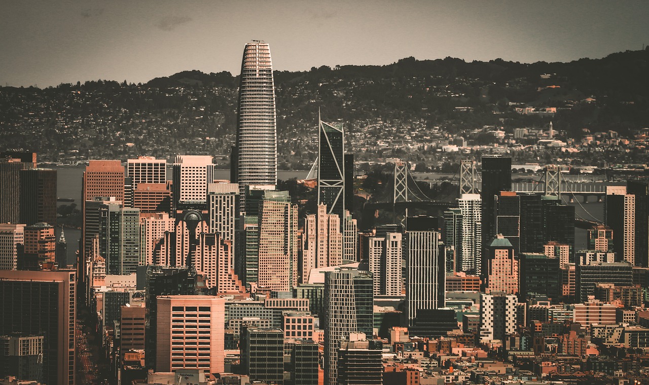 冠军的桂冠 冠军的桂冠