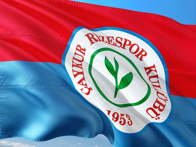 的表现同样 的表现同样