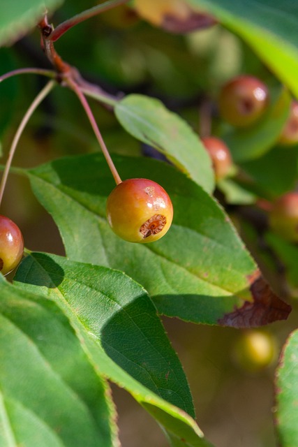 球队注入了 球队注入了