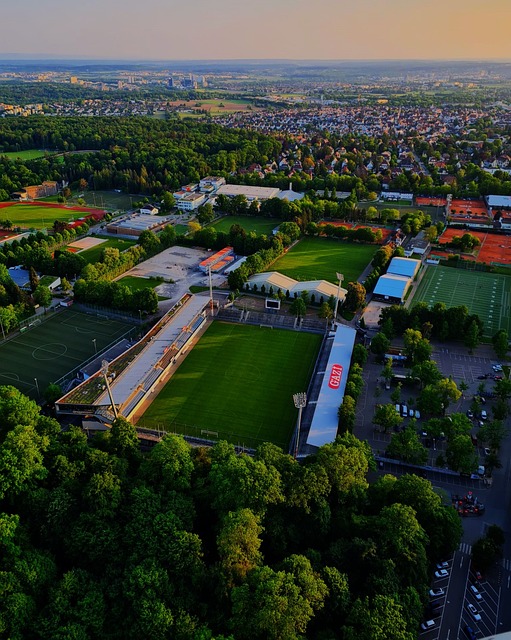 名单已经为 名单已经为