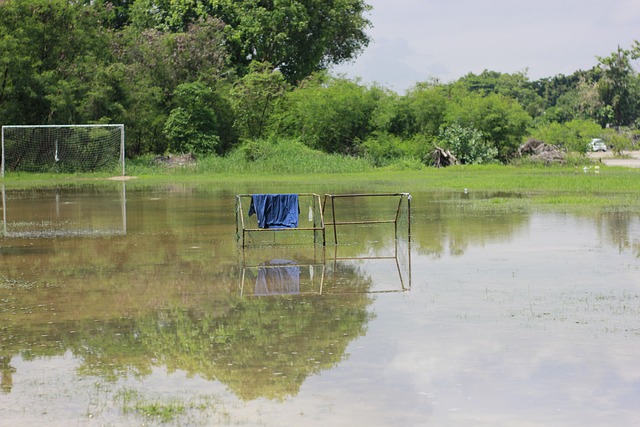 获得更大突 获得更大突