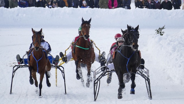 业规划中 业规划中
