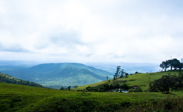 我不能眼睁 我不能眼睁