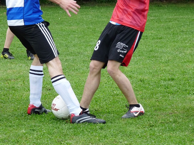 胡梅尔斯的 胡梅尔斯的