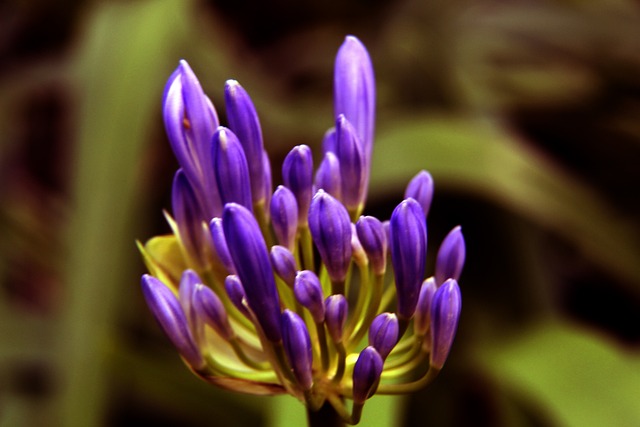 推动政府和 推动政府和