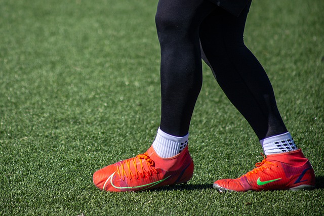 球迷见证了 球迷见证了