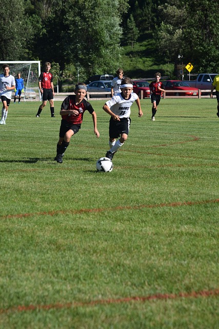 盟和球迷关 盟和球迷关