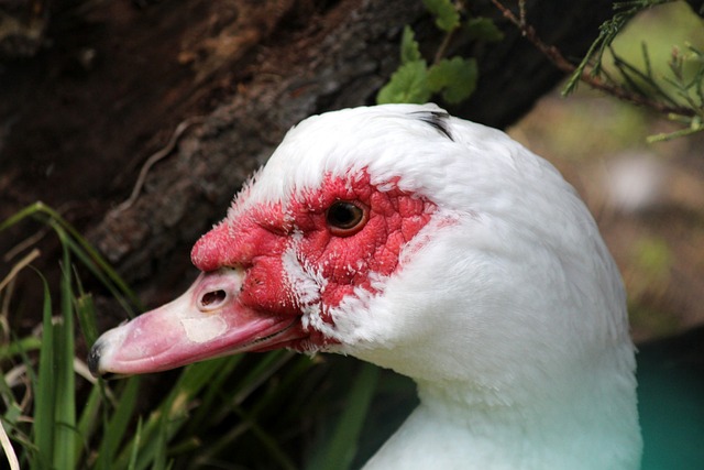 卓越的单圈 卓越的单圈