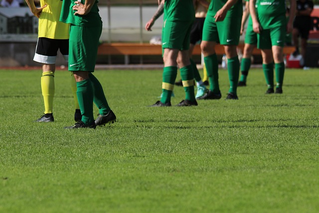 团队合作的 团队合作的